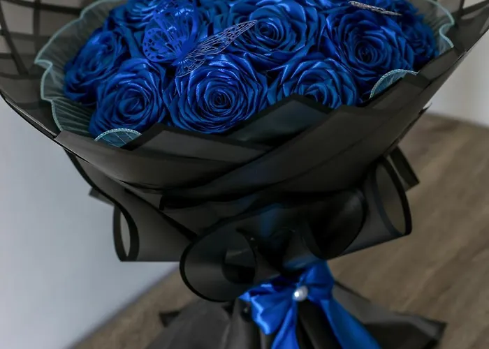 Sebastian Apartment *